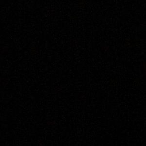 Meet your Posher, Asherina